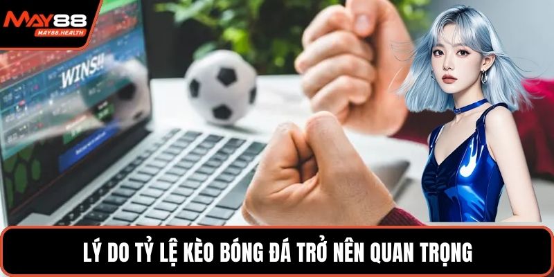 Lý do tỷ lệ kèo bóng đá trở nên quan trọng
