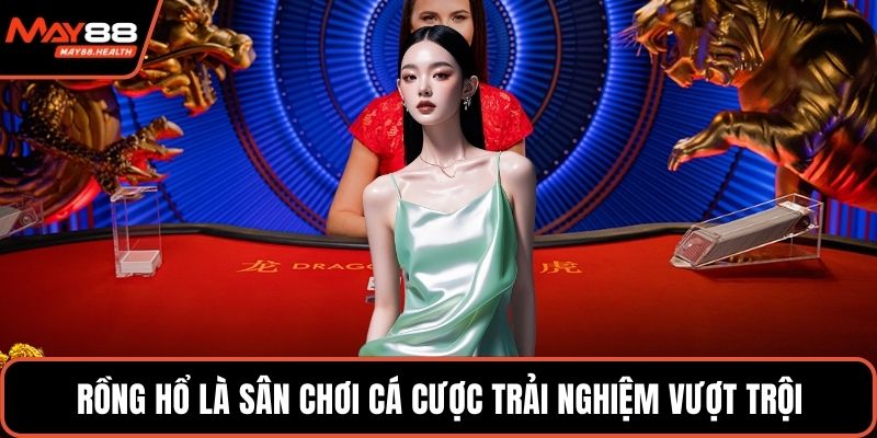 Rồng hổ là sân chơi cá cược trải nghiệm vượt trội